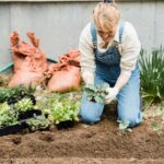 Ratschläge für Gartenarbeiten