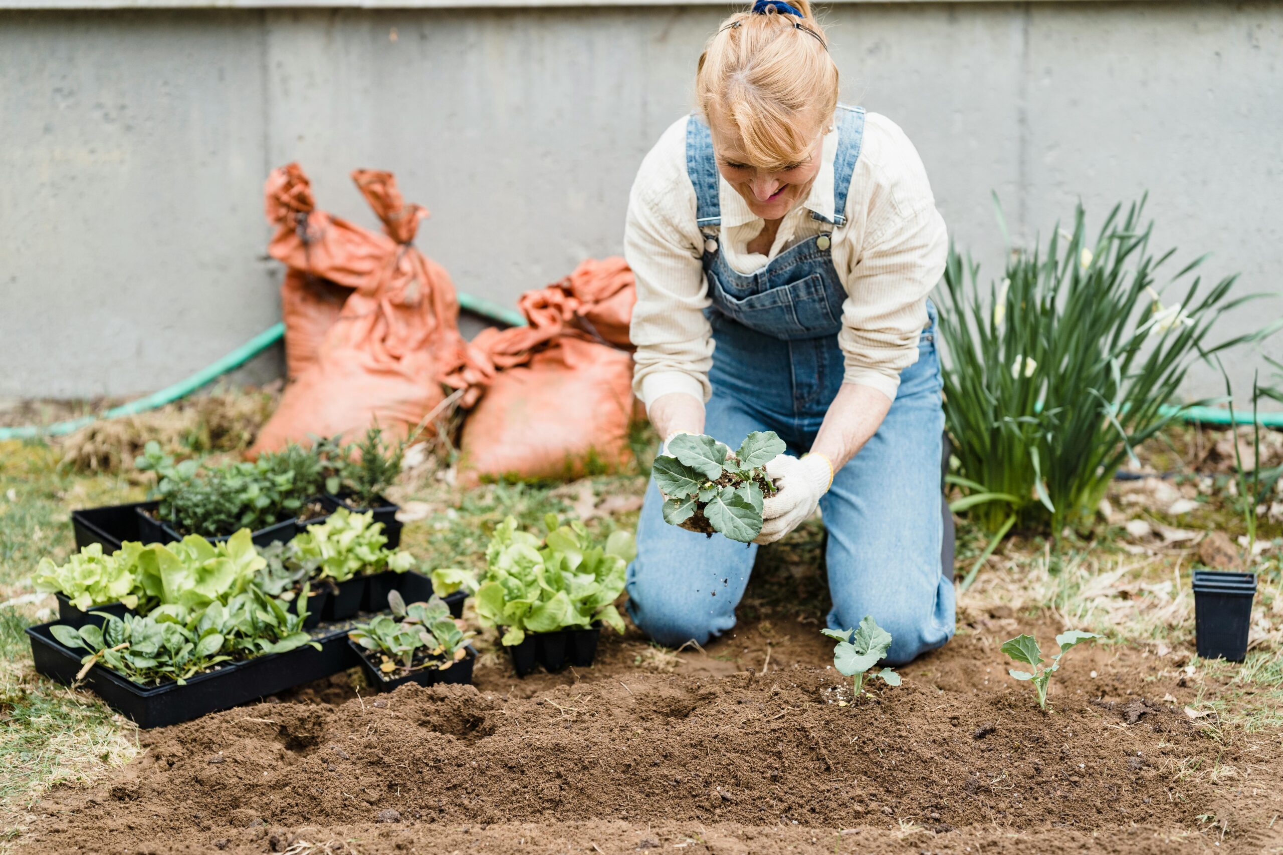 Ratschläge für Gartenarbeiten